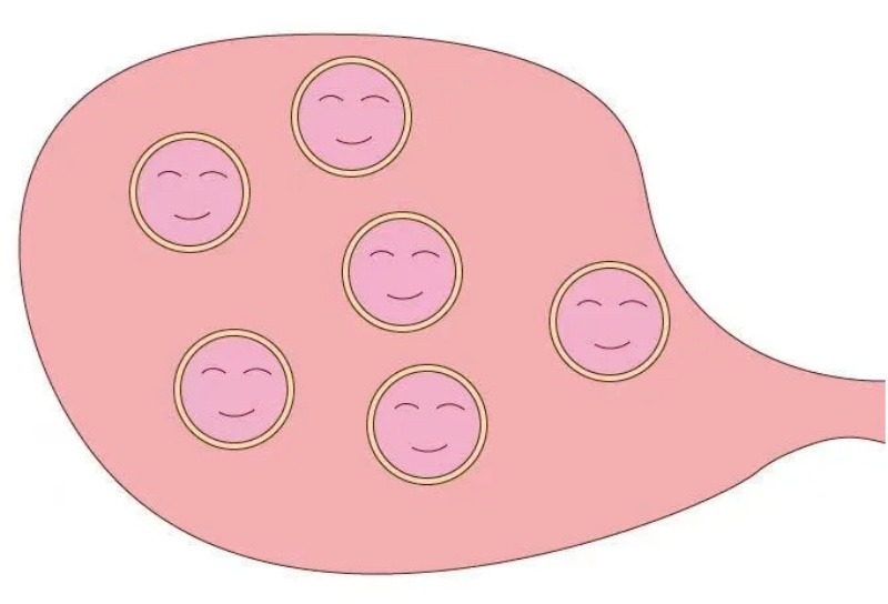 不同年龄做试管助孕差异在哪?