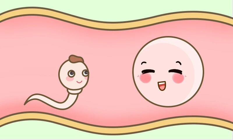 ������3�أ��Թܾͳɹ���һ�룡