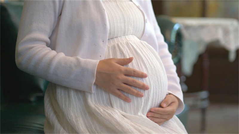 ������ص�֧���뱣��