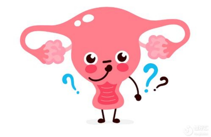 ���Թܣ�ʲô������ʺ����ң�