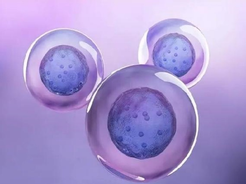 ���Ӳ�Բ������������������ˣ�