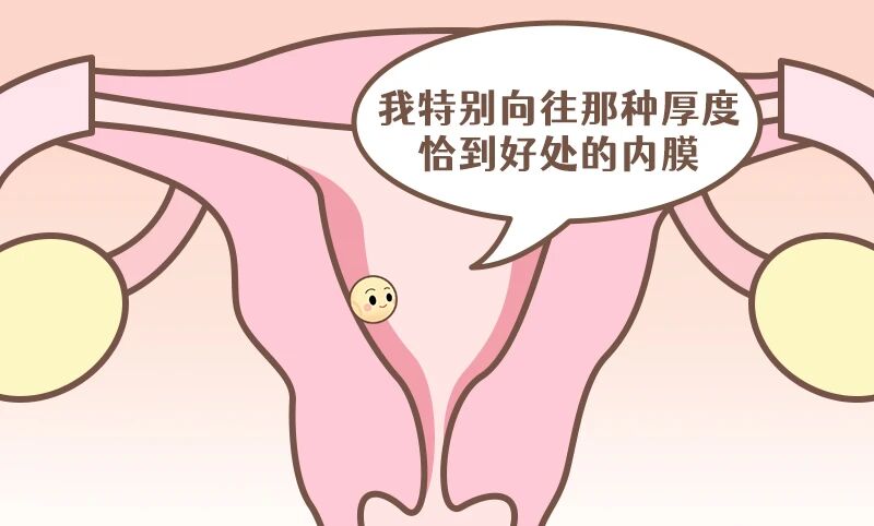 ʲô������Ĥ������̥�������Ŵ���