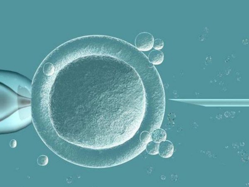 �ӹ���Ĥ���⵼����̥���Ŵ���ô�죿